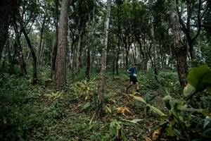 BIB: 
                            <button type="button" onclick="openModal(22791009)" class="btn btn-primary btn-sm float-right btn-popup" data-toggle="modal" data-target=".modal-high-quality">
                        <i class="fas fa-shopping-cart"></i> Add to Cart
                    </button>
                                            <button type="button" onclick="isThisMe(22791009, true)" class="btn btn-success btn-sm float-right btn-popup btn-isme hidden" data-toggle="tooltip" data-placement="bottom" title="นี่คือรูปของคุณใช่ไหม คลิกที่นี่เพื่อเอาเข้าอัลบั้ม">
                        <i class="fas fa-plus"></i> Add to album
                    </button>
                    <button type="button" onclick="isThisMe(22791009, false)" class="btn btn-warning btn-sm float-right btn-popup btn-isnotme hidden">
                        <i class="fas fa-ban"></i> Remove from album
                    </button>